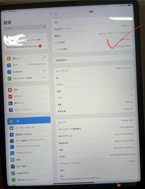 1819 岁 MACBOOK 日本确定发布时间-引发广泛关注和期待